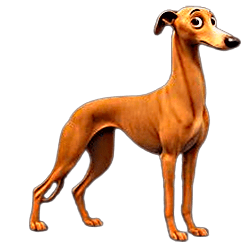 Greyhound